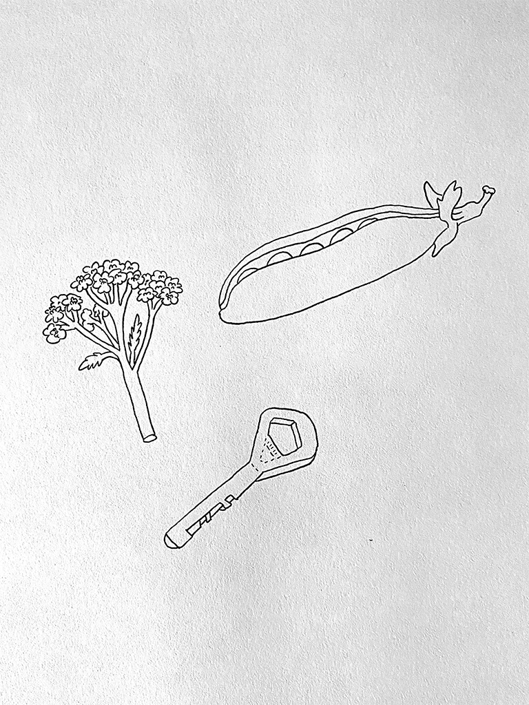 A drawing made with black pen on white paper, depicting three items: peas in a pod, a flower with stem, and a key.