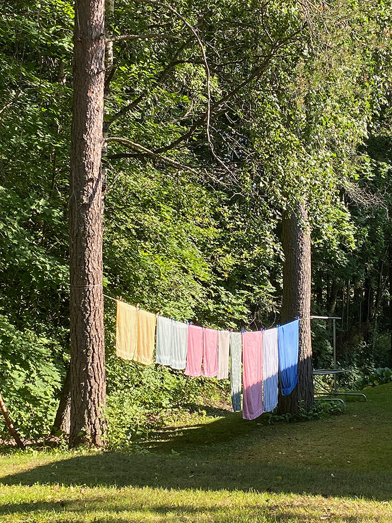 Eleven towels in different colours hanging on a laundry line between two trees.